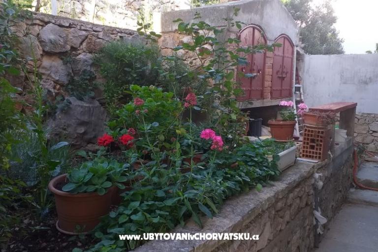 Apartament Ivan (15m from  beach) – foto 8