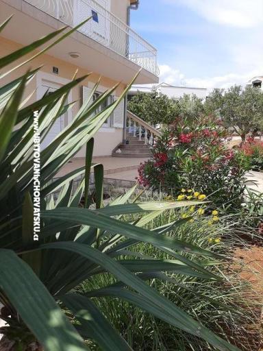 Apartamenty Duzelovi dvori  – foto 12