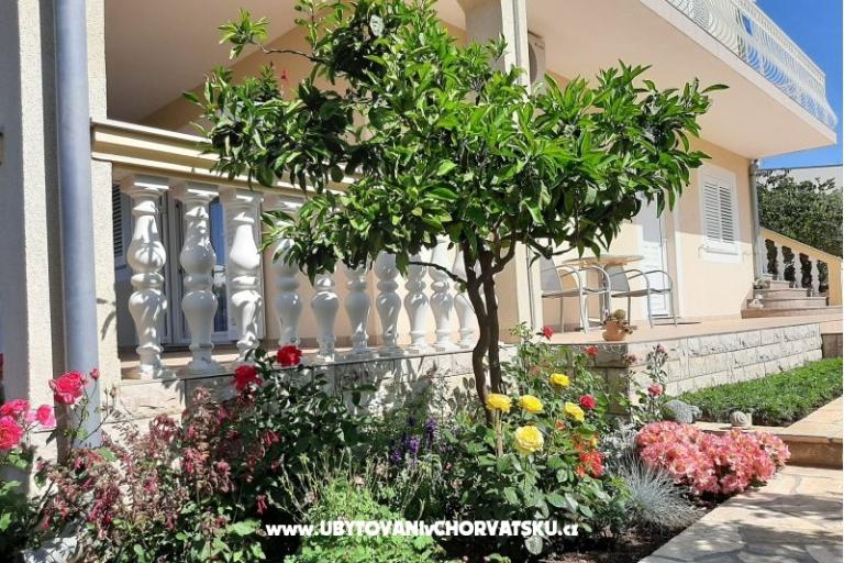 Apartamenty Duzelovi dvori  – foto 15