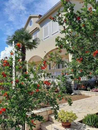 Apartamenty Duzelovi dvori  – foto 16