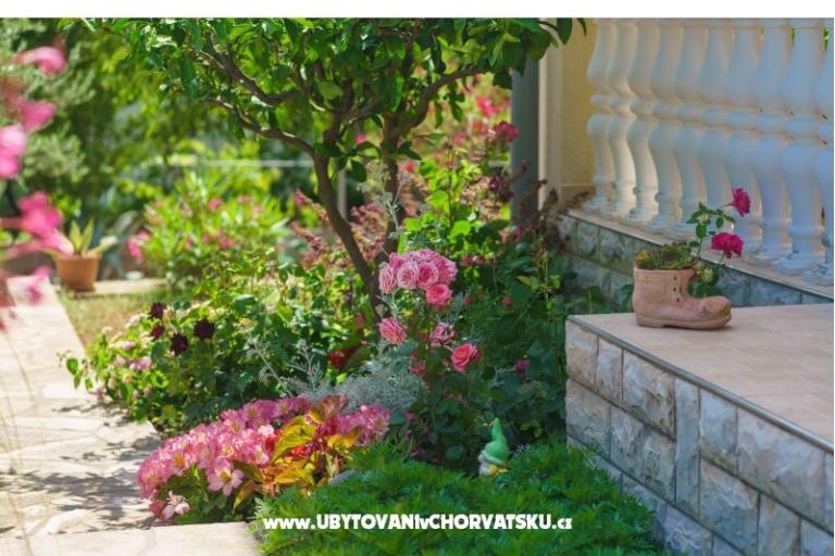 Apartamenty Duzelovi dvori  – foto 21