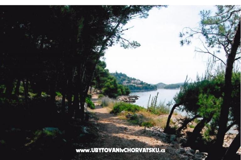 Apartamenty Kata – foto 11