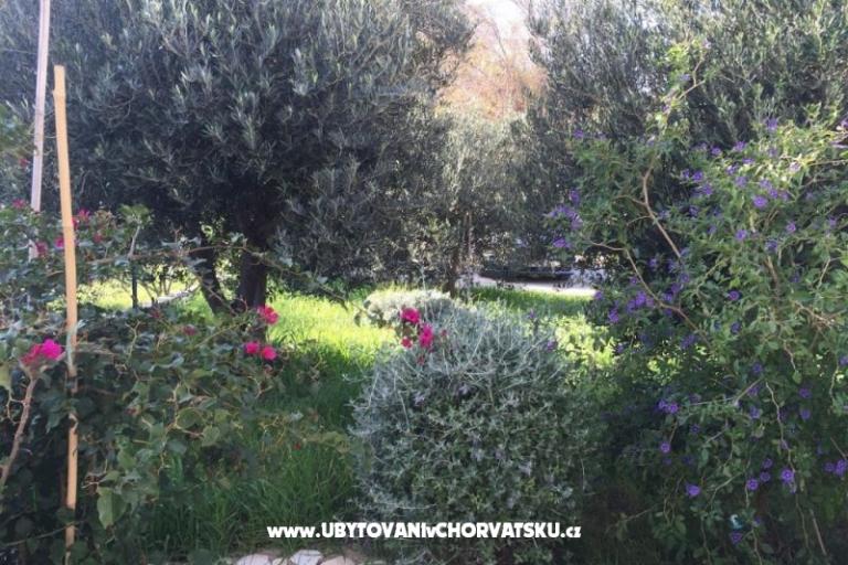 Apartamenty Villa Tribunj – foto 3