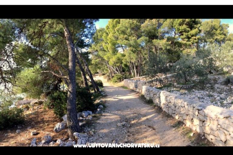 Apartamenty Neptun and Jupiter – foto 5