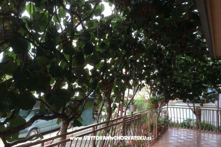 Kiwi Dom – foto 5