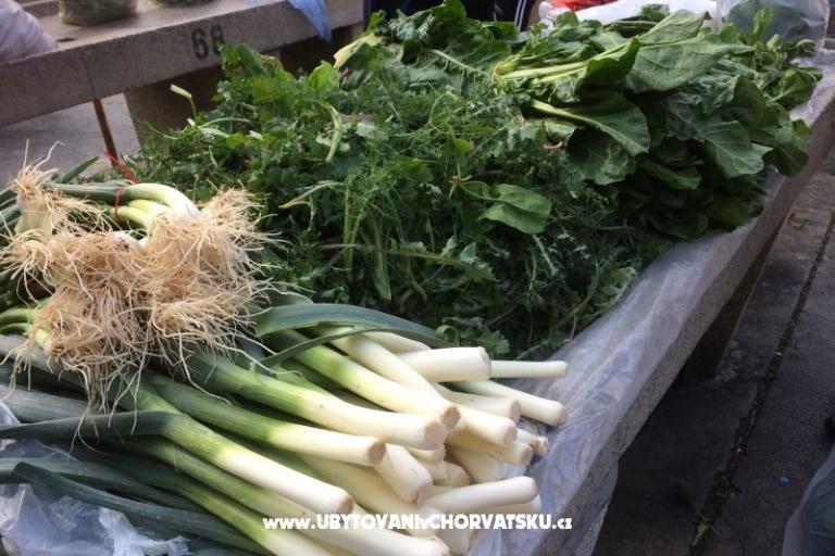 Kiwi Dom – foto 7