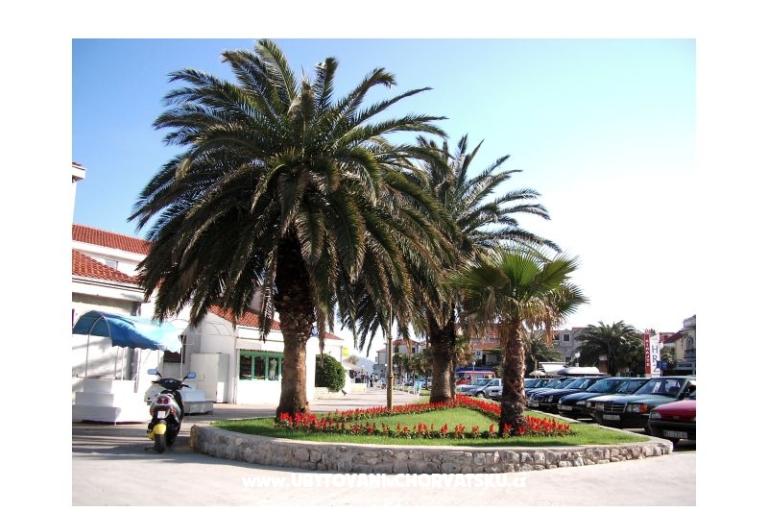 Apartamenty  Vesna  – foto 14