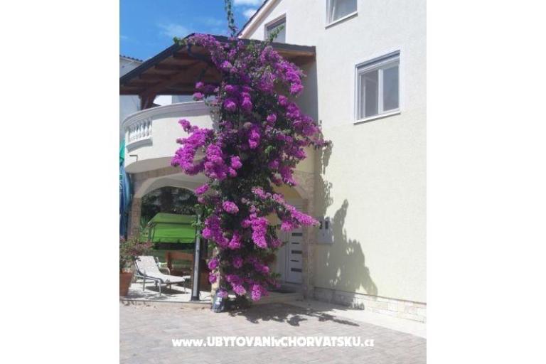 Apartamenty  Vesna  – foto 2
