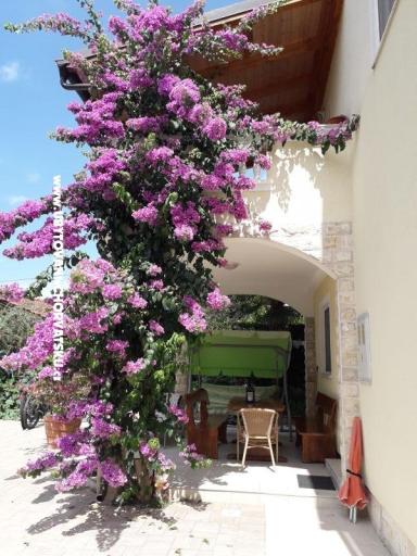 Apartamenty  Vesna  – foto 20