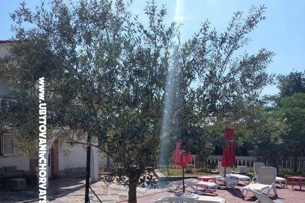 Apartamenty Chipo – foto 3