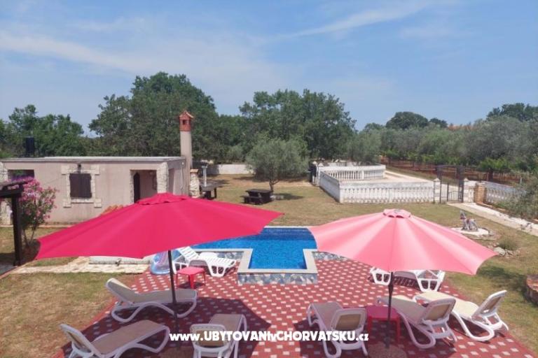 Apartamenty Chipo – foto 5