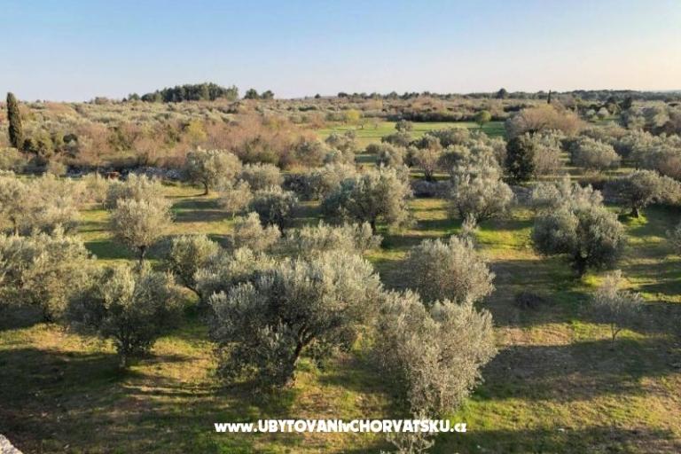 Casadigioia Apartamenty – foto 6