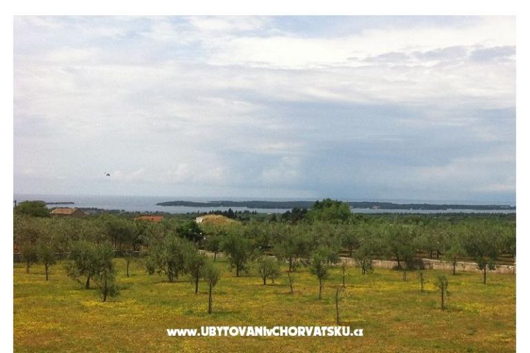 Villa Aleksandra – foto 17