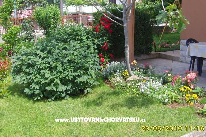 Apartament Amico – foto 6