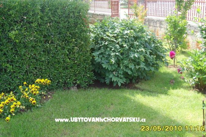Apartament Amico – foto 8