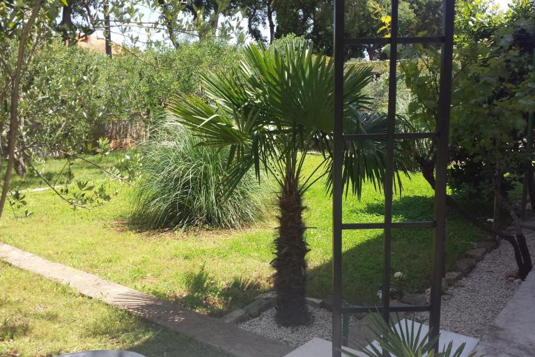 Apartament Korina – foto 2