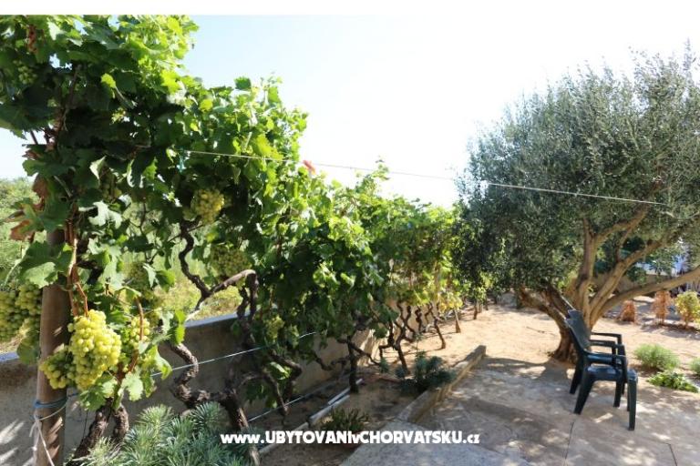 Apartament Radobuljac Vrsi  – foto 3