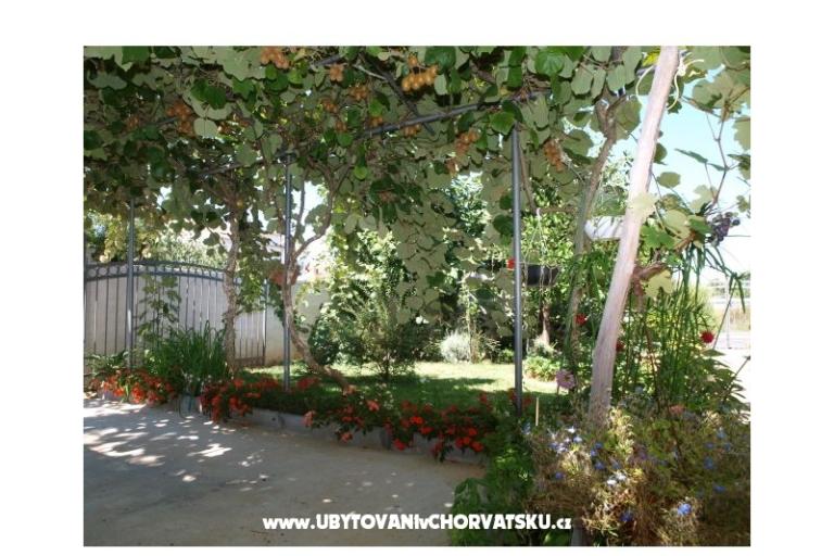 Apartamenty Andredor – foto 17