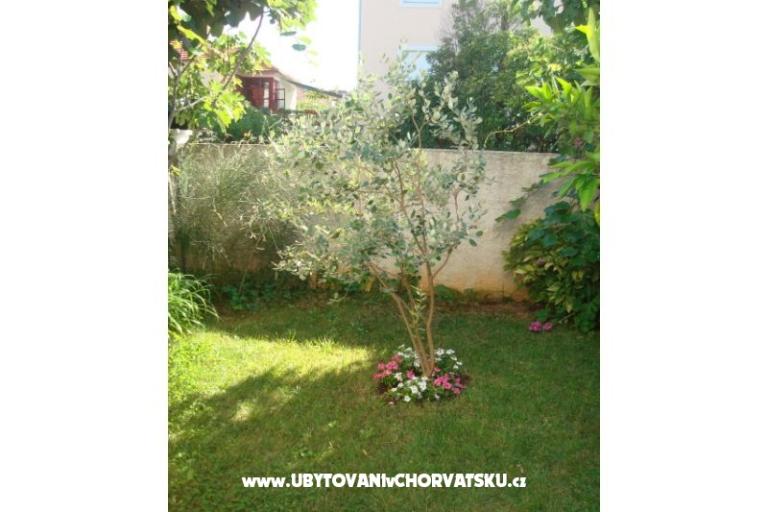 Apartamenty Andredor – foto 8