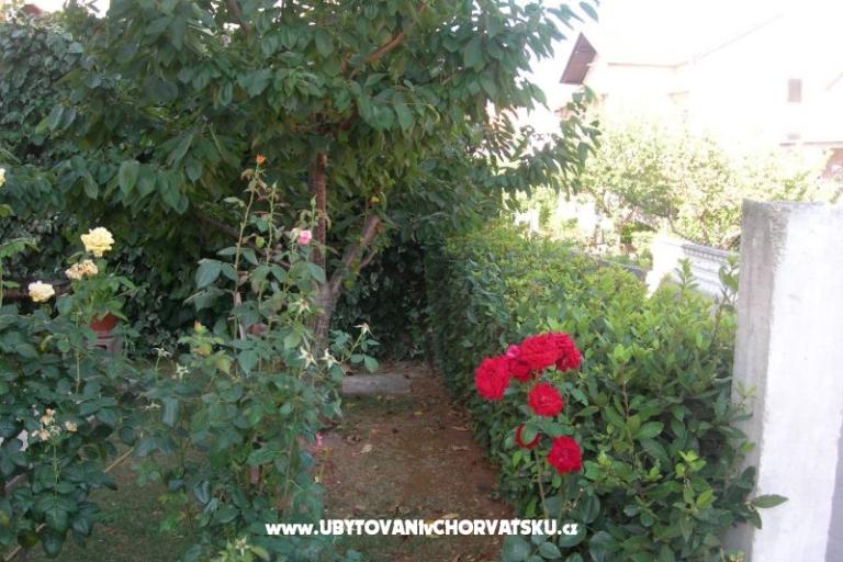 Apartamenty Ravkin – foto 9