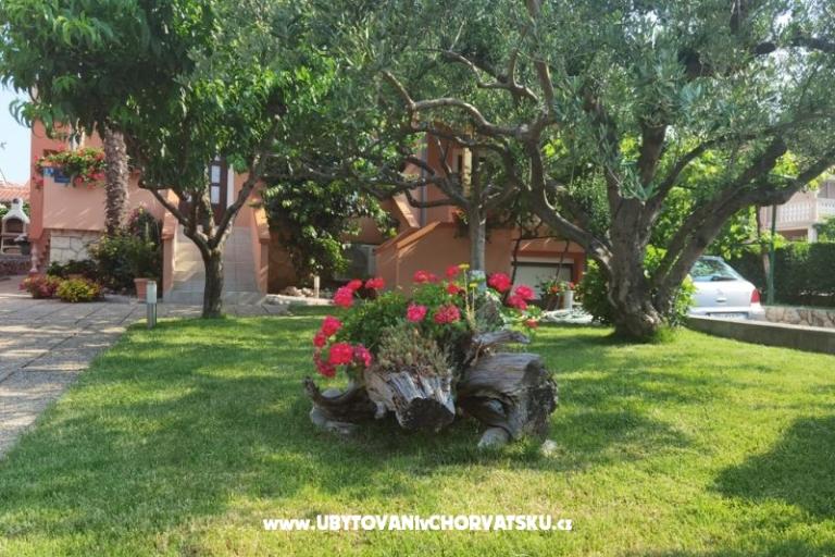 Apartamenty Riva – foto 3