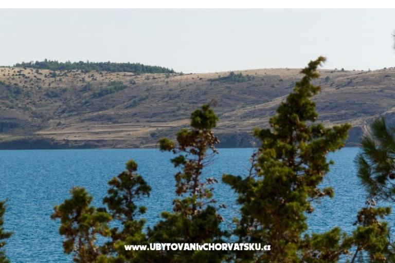 Apartamenty Stošić – foto 12