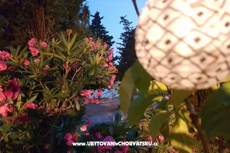 Apartamenty Tena,  prvi red do mora – foto 25