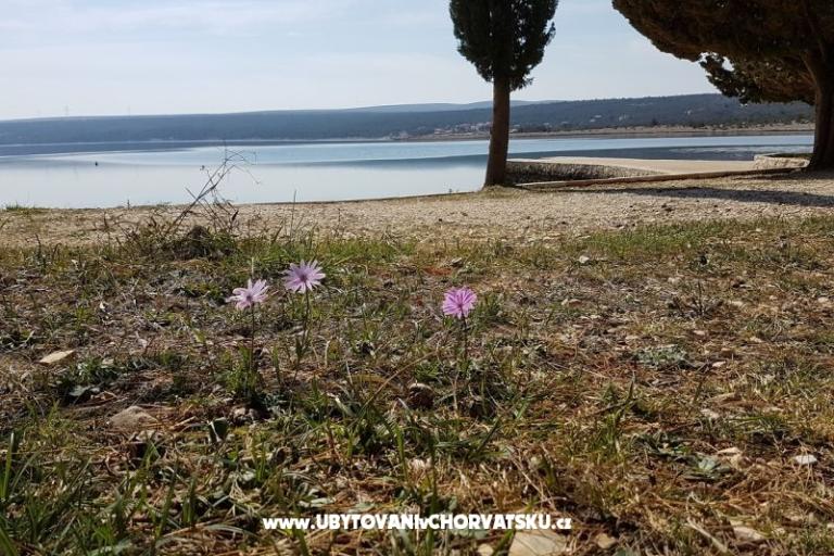 Apartamenty Tena,  prvi red do mora – foto 45