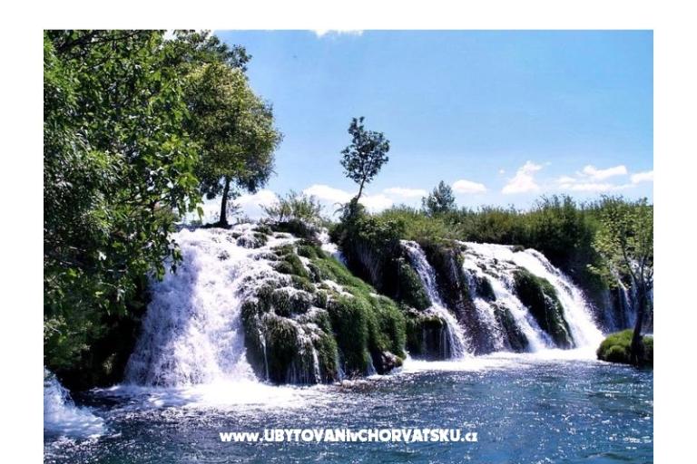 Apartamenty "Villa Manda" – foto 17
