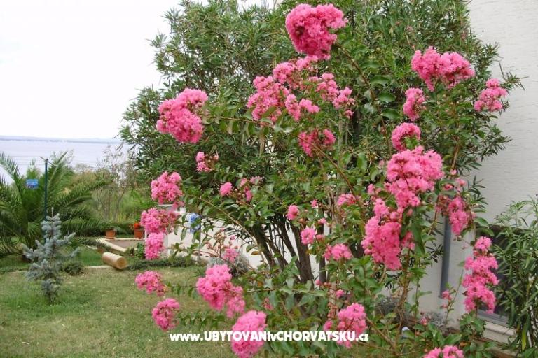 Apartamenty Marija – foto 10