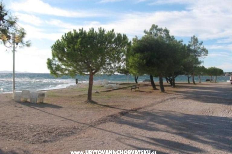 Apartament Jelena – foto 8