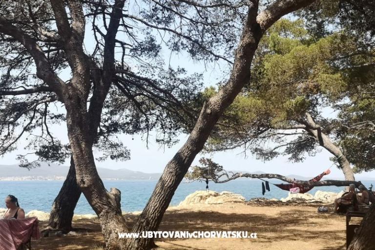 Apartamenty Asea Zadar – foto 6