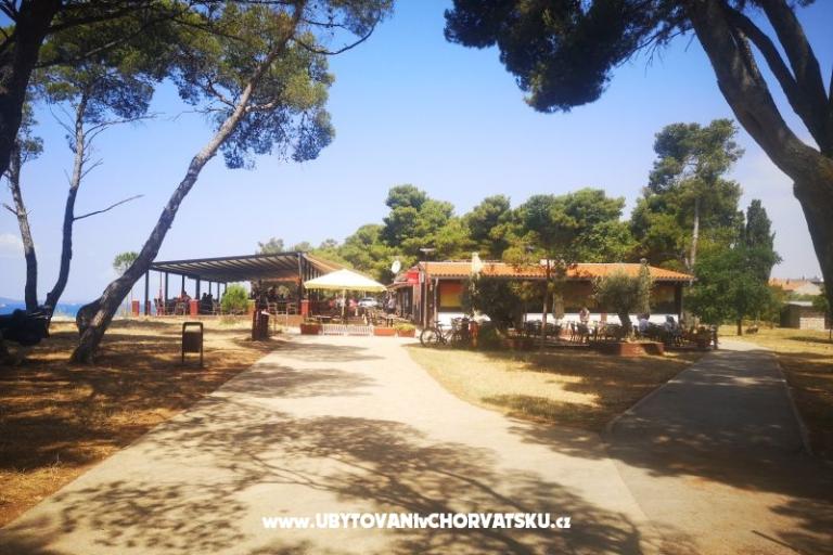 Apartamenty Asea Zadar – foto 8