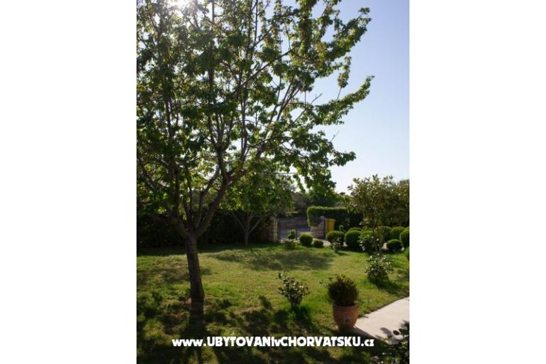 Apartamenty Duke – foto 3