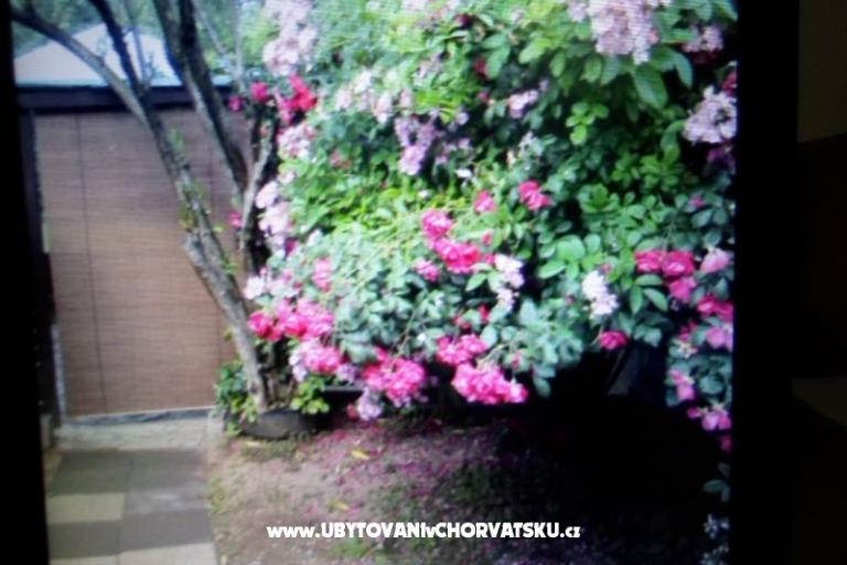 Apartamenty Floresita – foto 16
