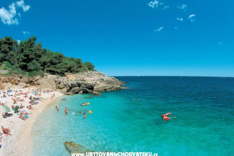 Apartamenty Ivonna Exsclusive Centar – foto 6