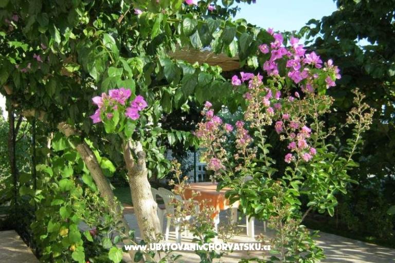 Apartamenty Maja – foto 14