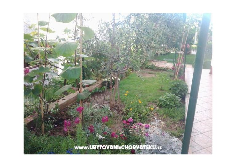 Apartamenty Maja – foto 15