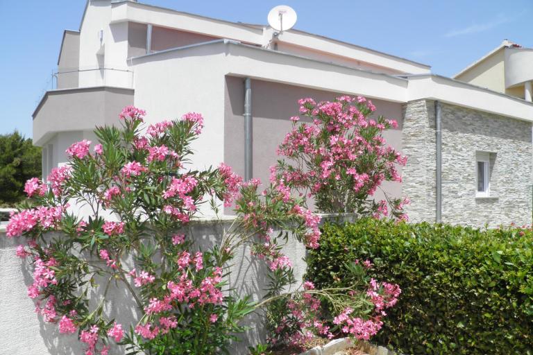 Apartamenty Mirakul – foto 8