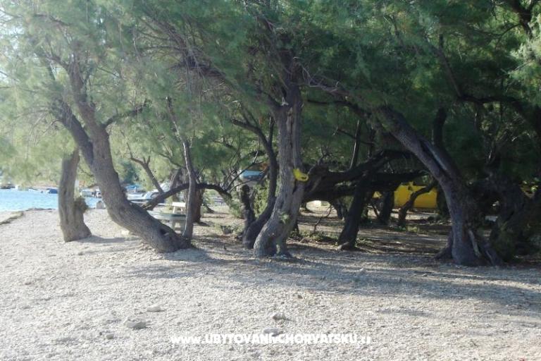 Apartamenty Hudi – foto 14