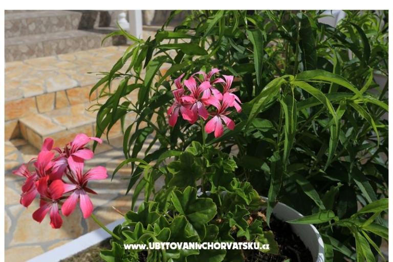 Holiday Rtina – foto 8