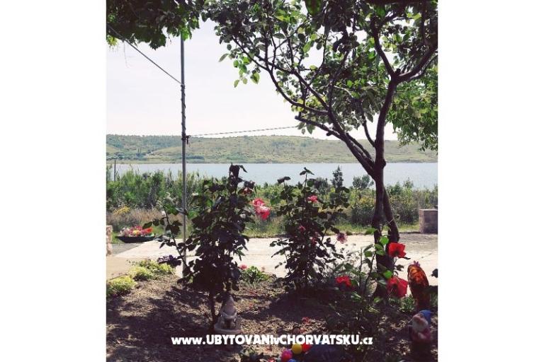 Apartamenty Ivica- Livi  – foto 18