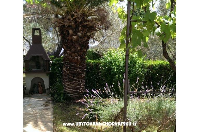 Nevena Apartamenty – foto 5