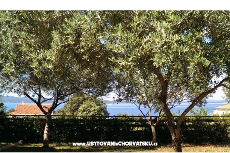 Nevena Apartamenty – foto 9