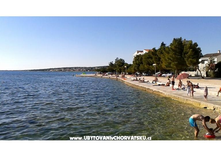 Veronika – foto 6