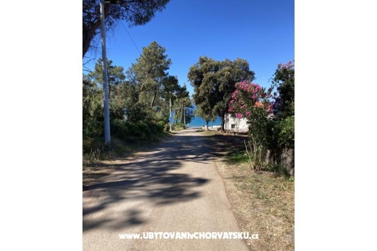 Villa Teresa – foto 10