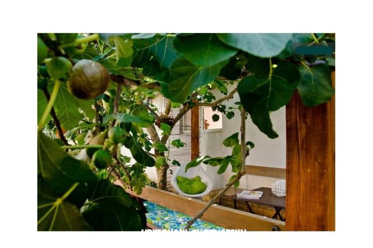 Villa Tereza – foto 8