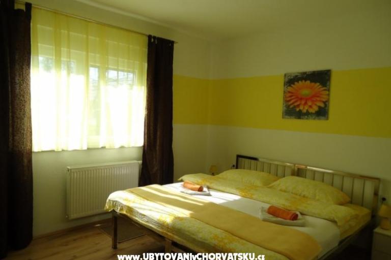 S.A.Z. – foto 6