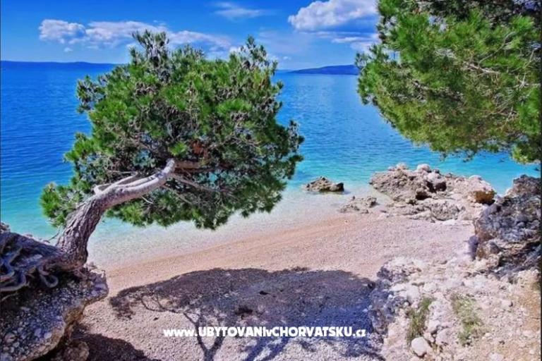 Apartamenty Casablanca – foto 2