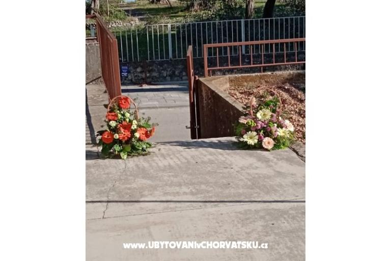 Apartament Viter – foto 2